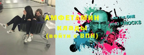 ГАЛЛЮЦИНОГЕННЫЕ ГРИБЫ Аркадак