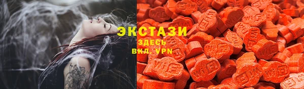 ГАЛЛЮЦИНОГЕННЫЕ ГРИБЫ Аркадак