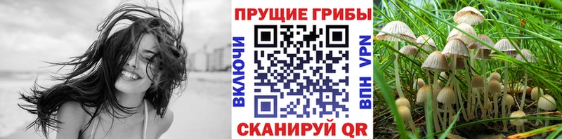 Галлюциногенные грибы Magic Shrooms Фокино