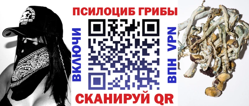 маркетплейс телеграм как найти закладки МЕГА ссылки Фокино Псилоцибиновые грибы Psilocybe